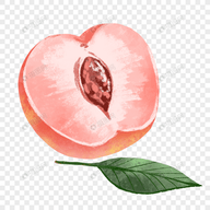 御梦子APP应用