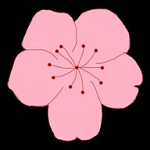 WWW,437se·COM网站APPAPP应用